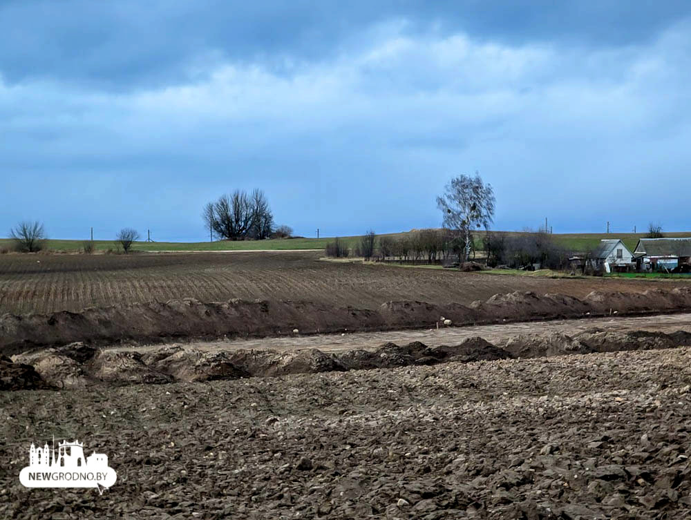 prodlenie dzerzihskogo grodno 07