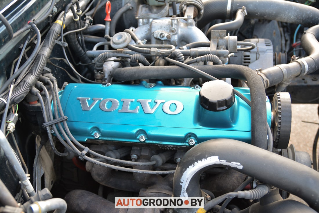 В Гродно вновь собрались фанаты VOLVO. После долгого перерыва