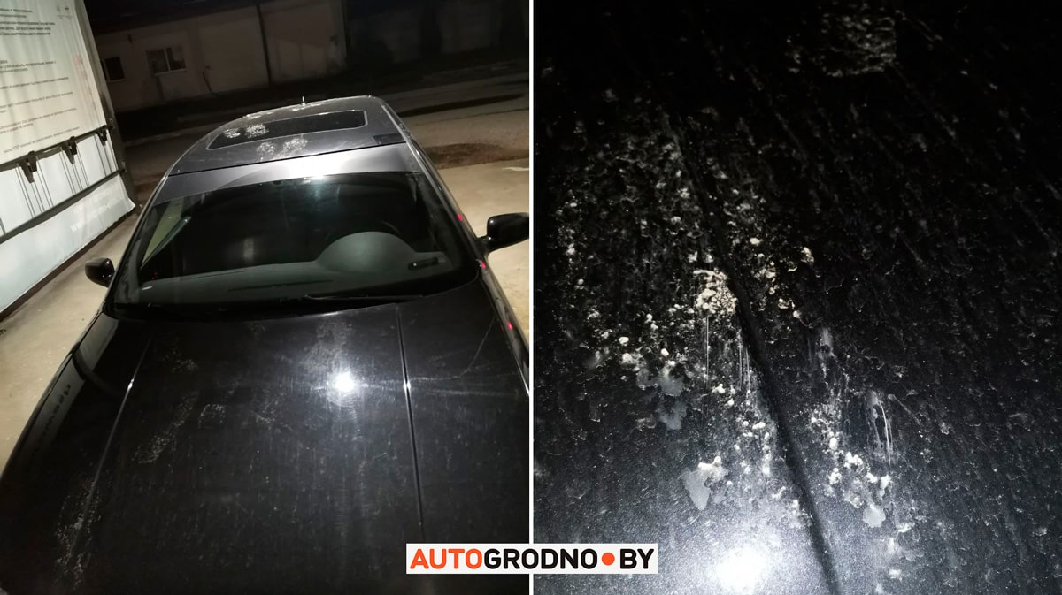 Хулиганы полезли на крышу авто и их заснял регистратор крупным планом. Случай в Гродно