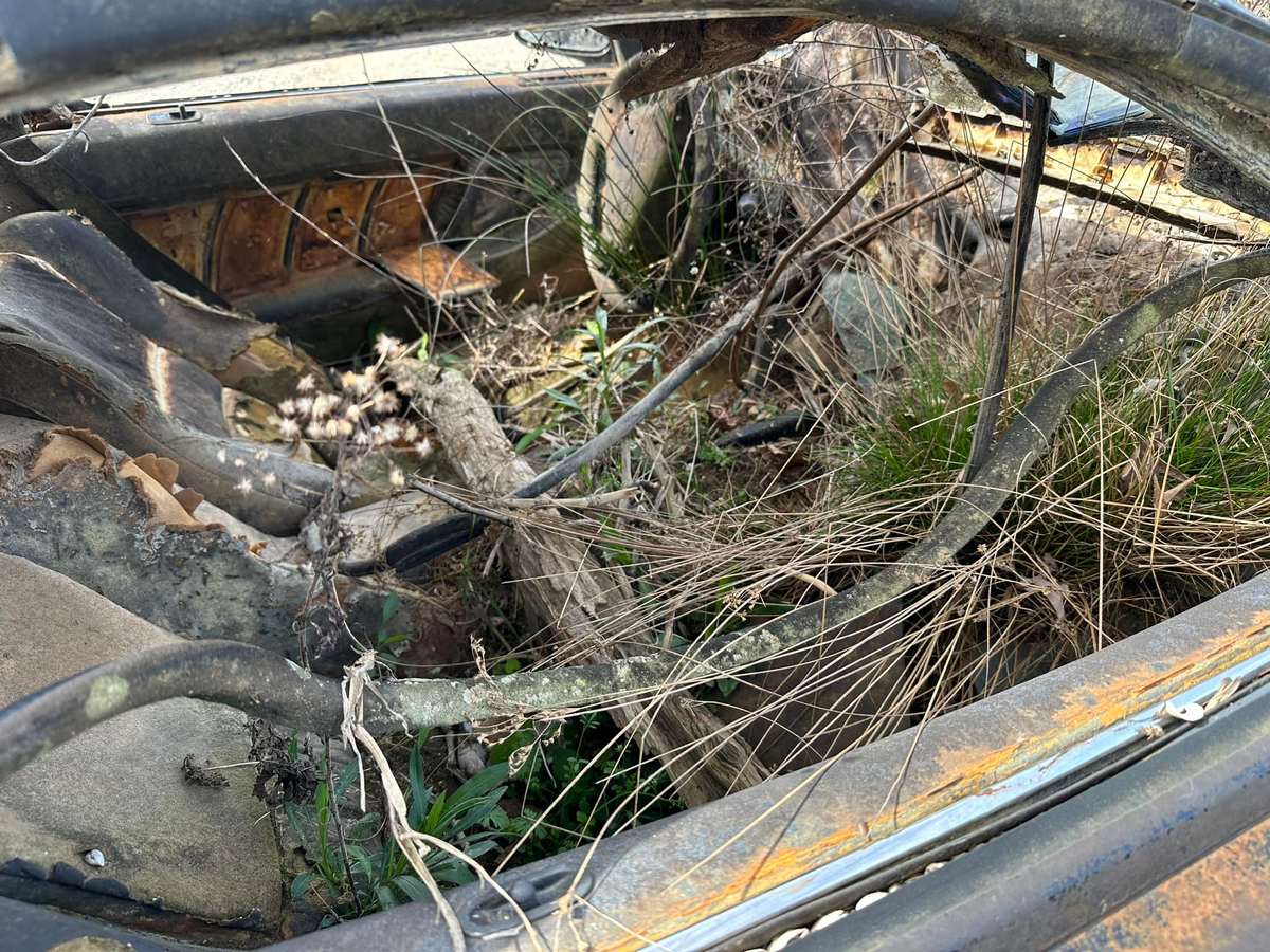 honda nsx пролежала в воде 15 лет