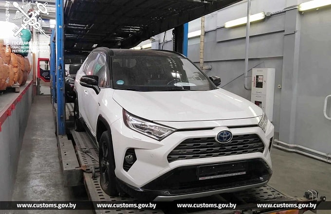 kozlovichy premium 07 min