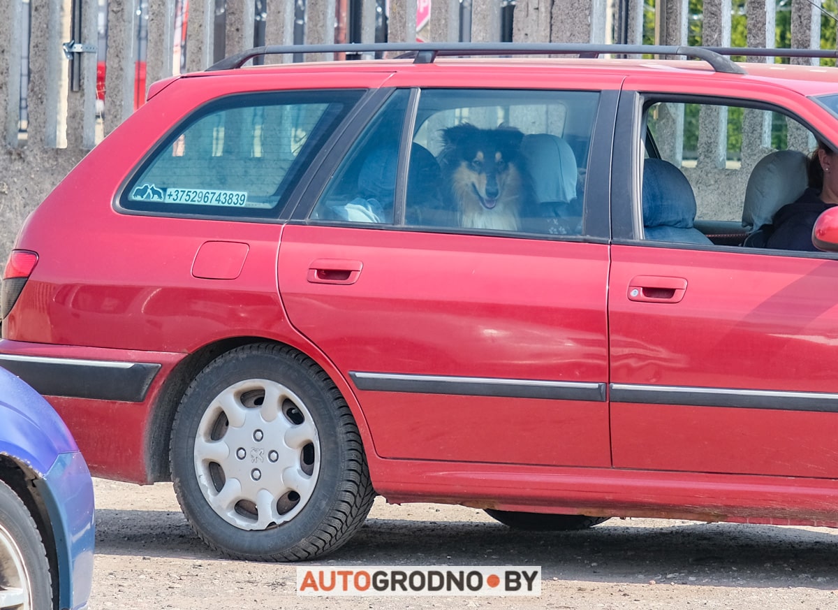 Директор шиномонтажа учит НЛП, чтобы лучше общаться с клиентами