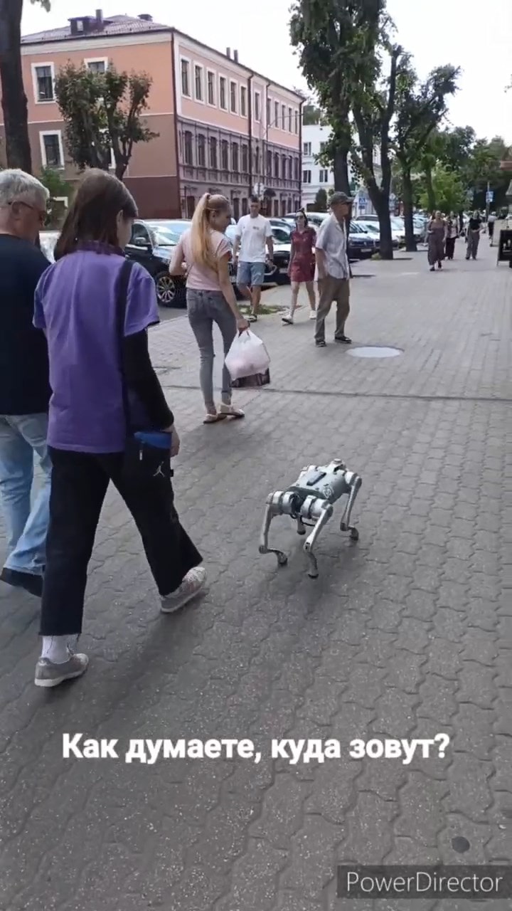 Посмотрите, какое чудо заметили в Бресте