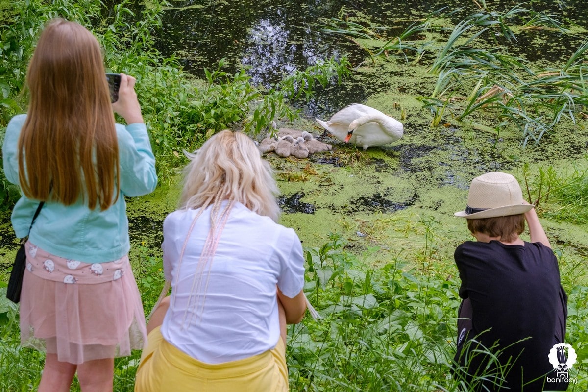Тур выходного дня Гродненская область