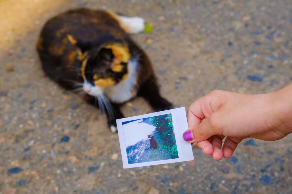 Тур выходного дня Гродненская область