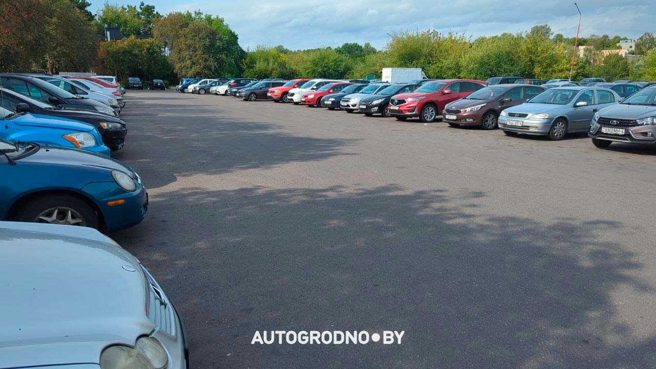 Почему на парковке на Виленской в Гродно нужна разметка. Мнение