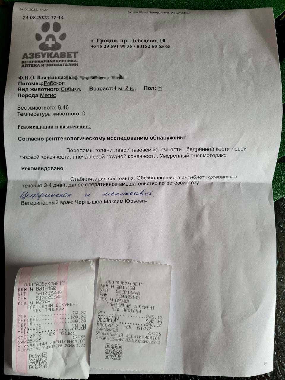 Срочно! В Гродно сбили собаку (видео): Без помощи людей операцию не осилю