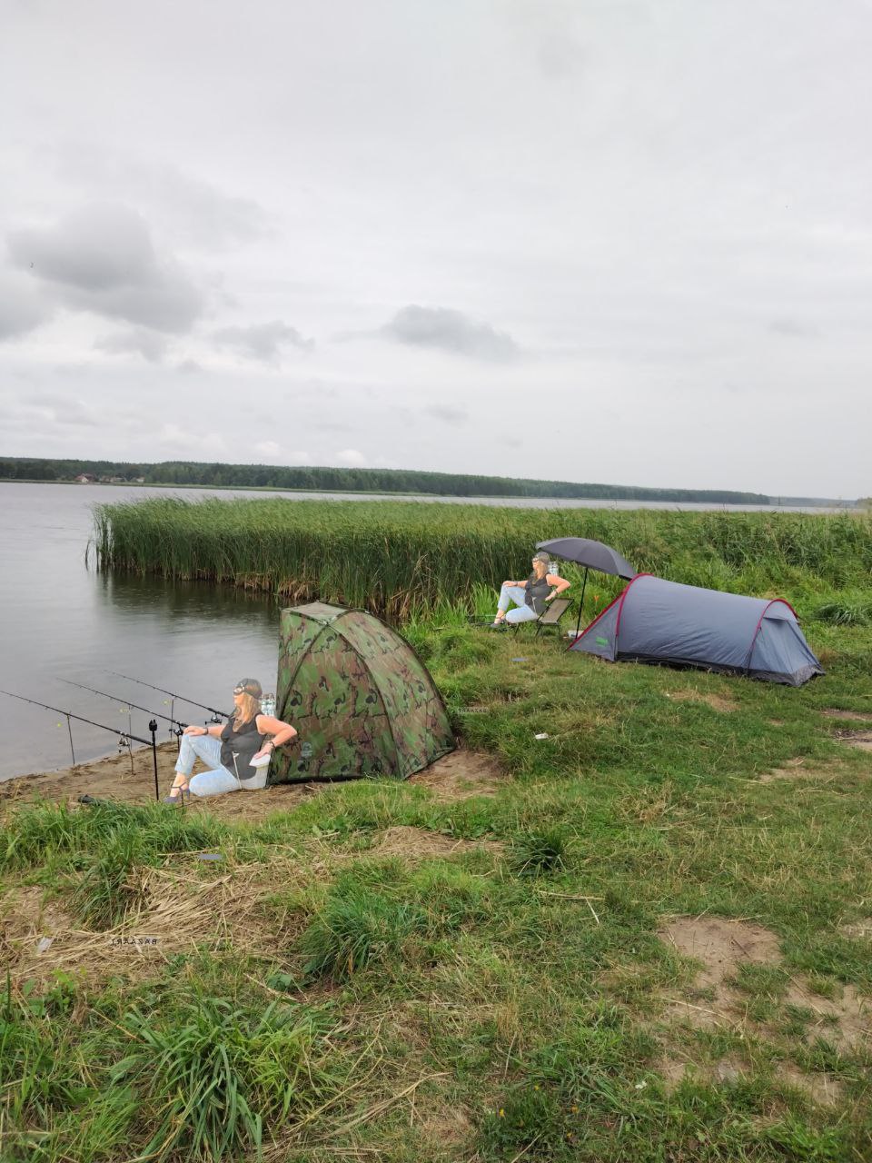В Беларуси новый мем. И им стала женщина-кошка