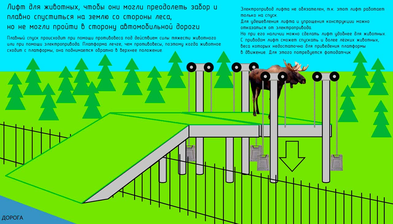 Лифт для животных
