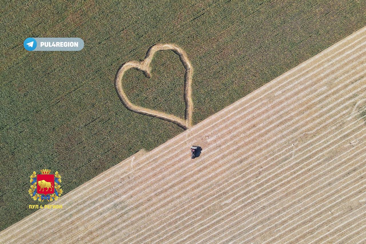 Мастерство: белорусские трактористы создали огромное сердце в полях возле Зельвы