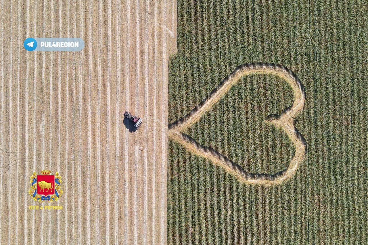 Мастерство: белорусские трактористы создали огромное сердце в полях возле Зельвы
