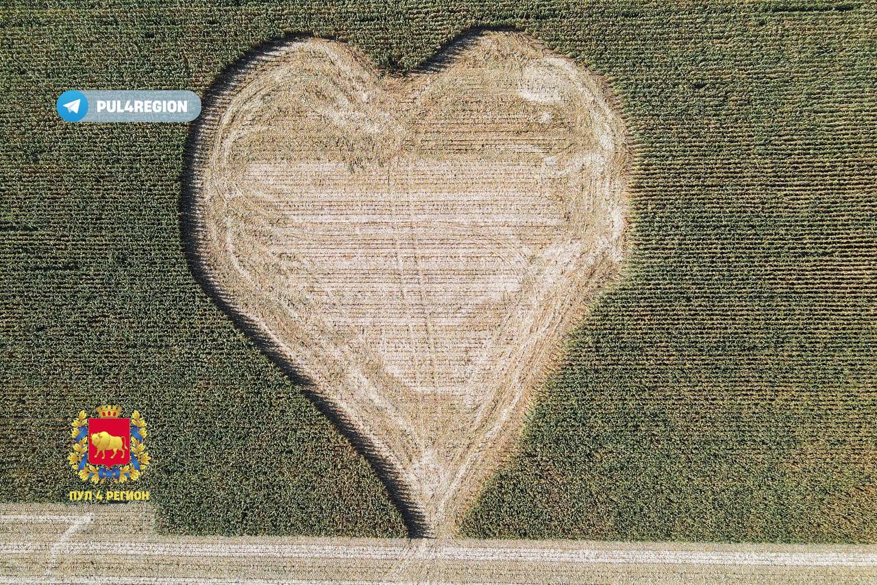 Мастерство: белорусские трактористы создали огромное сердце в полях возле Зельвы