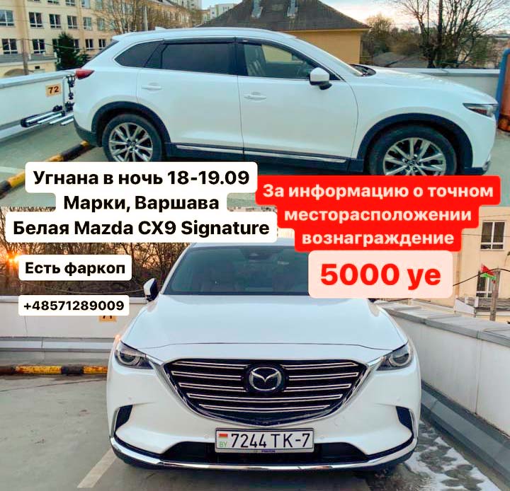 ugon polsha analiz 06