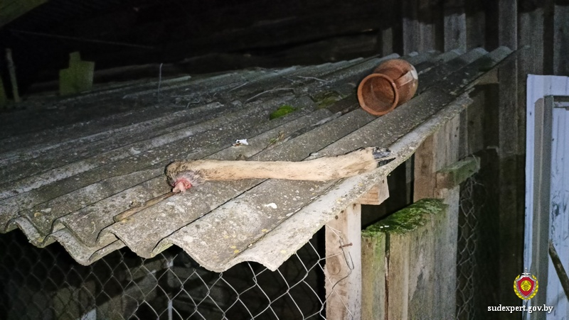 kosulja mstislavl 02