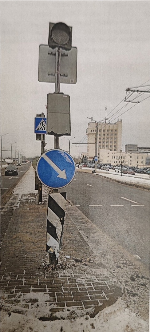 suvorova ochevidtsy svetofor 01