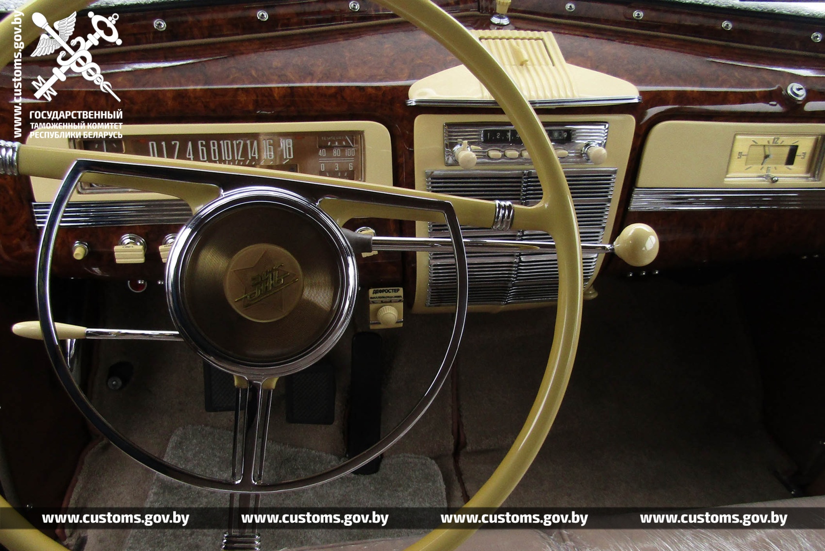 zis kam log raritet 01