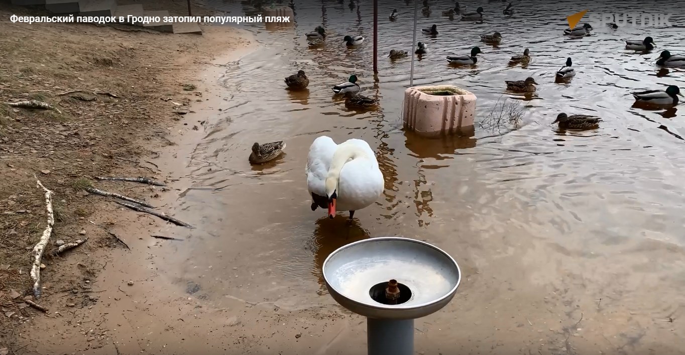 tropa zdor pavodok 03