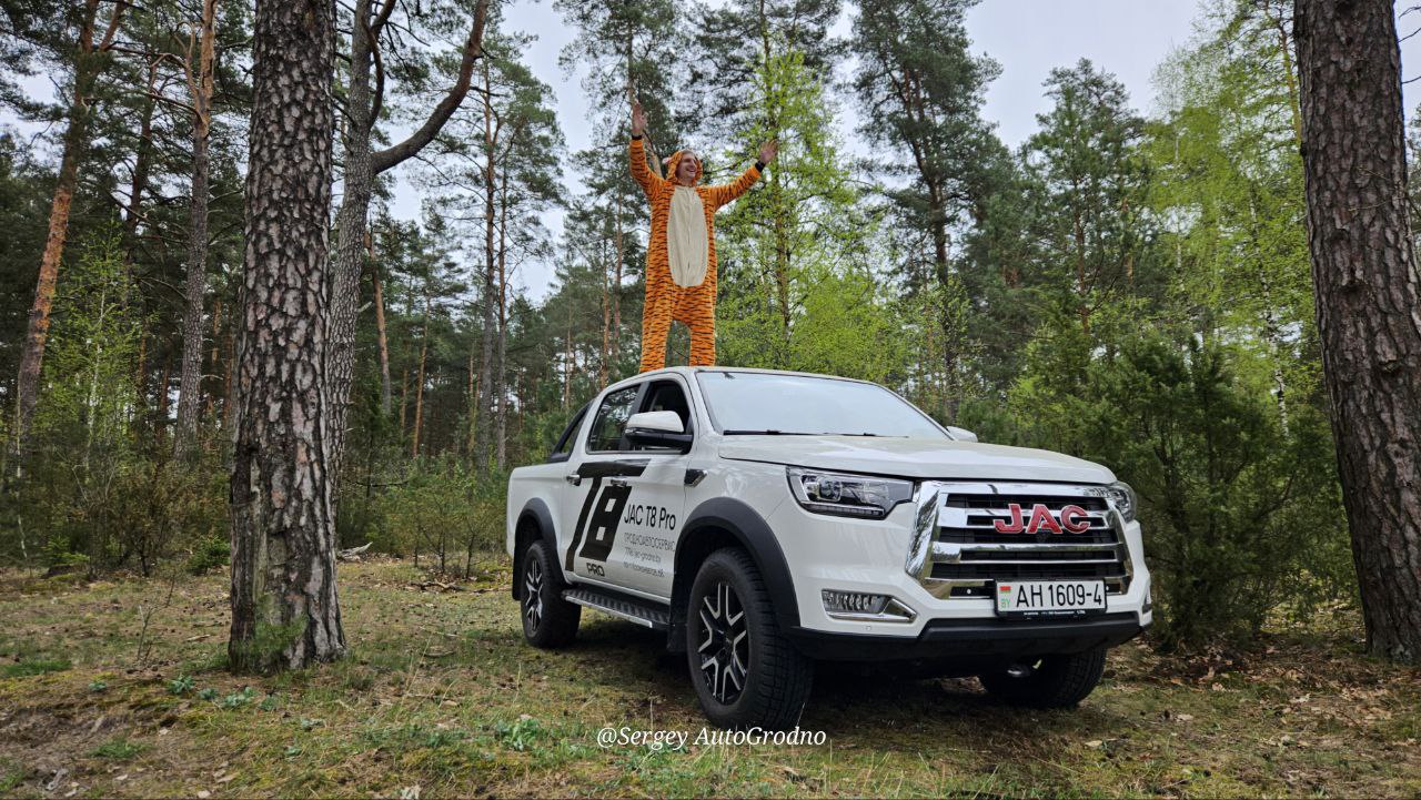 АвтоГродно и Гродноавтосервис высадили деревья в лесу под городом. Как сделать то же самое?