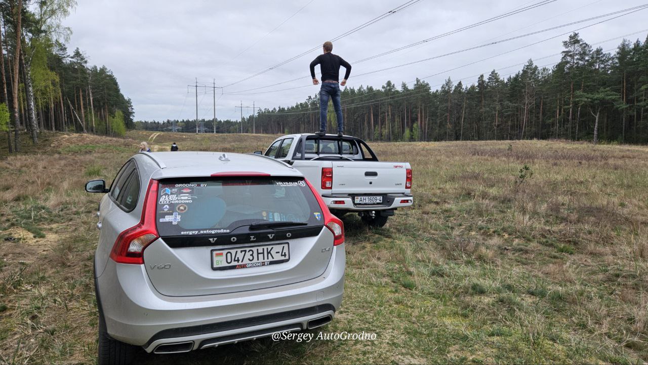АвтоГродно и Гродноавтосервис высадили деревья в лесу под городом. Как сделать то же самое?