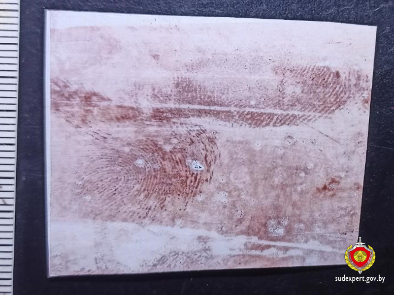 daln poputchik brest 00 min