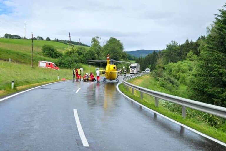 avstria fura 23 goda 10 06 01