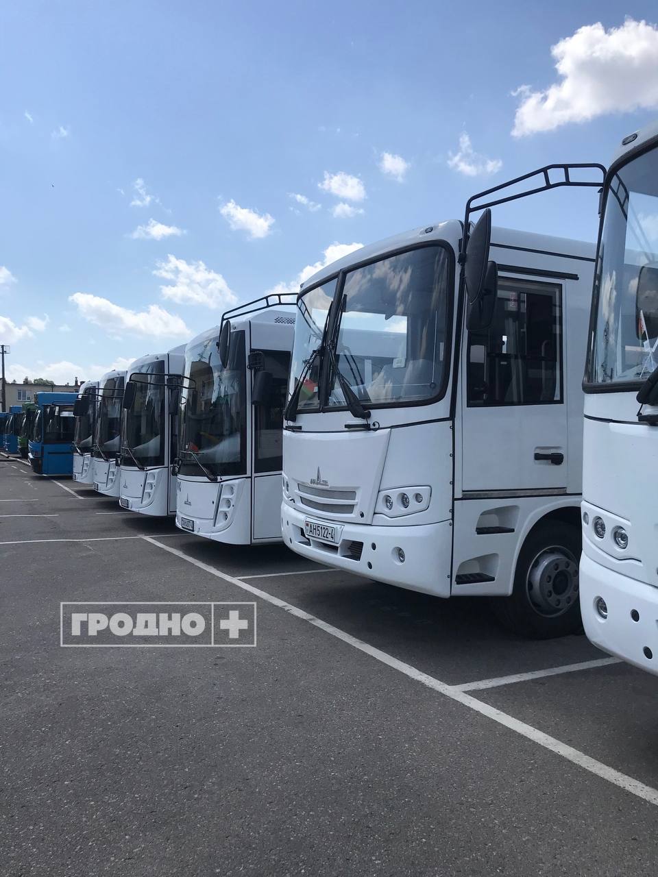 Новые автобусы в Гродно МАЗ
