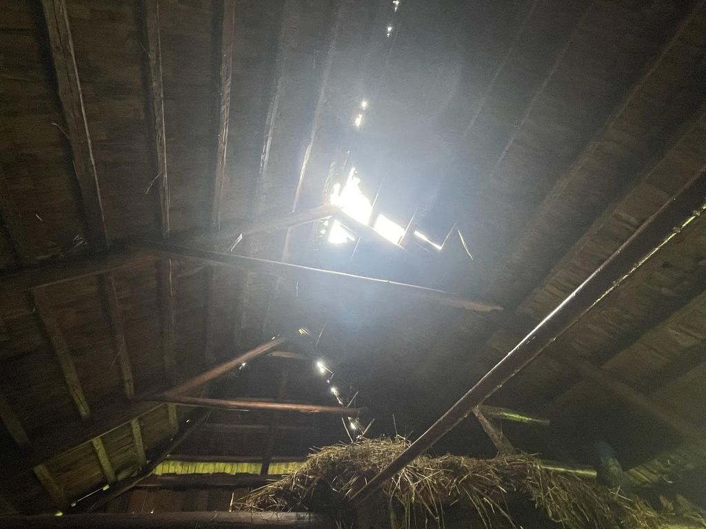 belusha saab 25 07 03