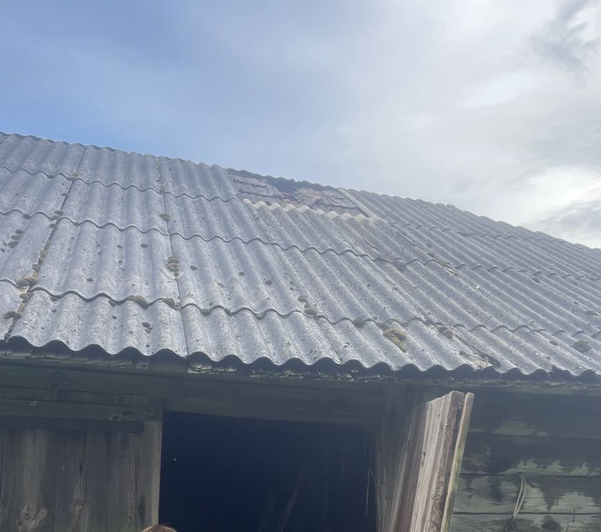 belusha saab 25 07 03