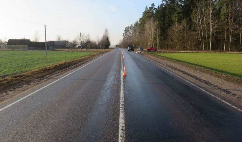 golovachy 27 01 velo 01