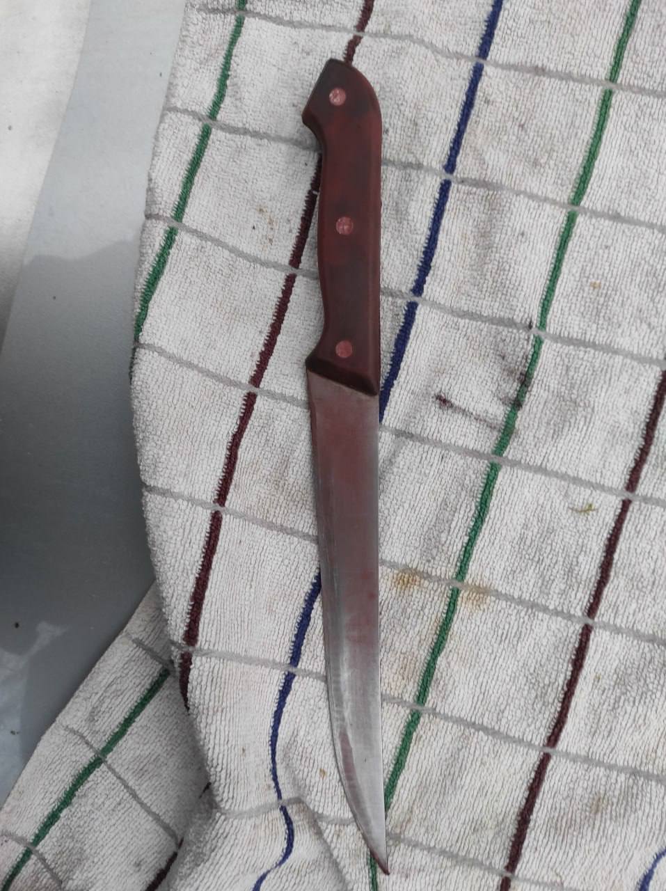 renault nozh volkovysk 01