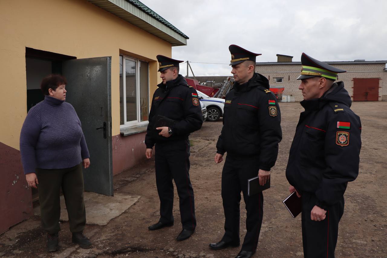 apk proverka 28 03 25 01