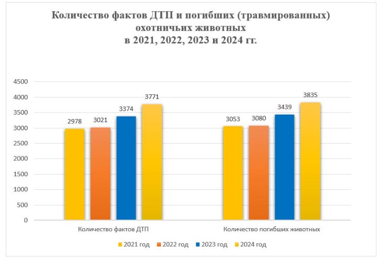 dtp zhiv itog 2024 02