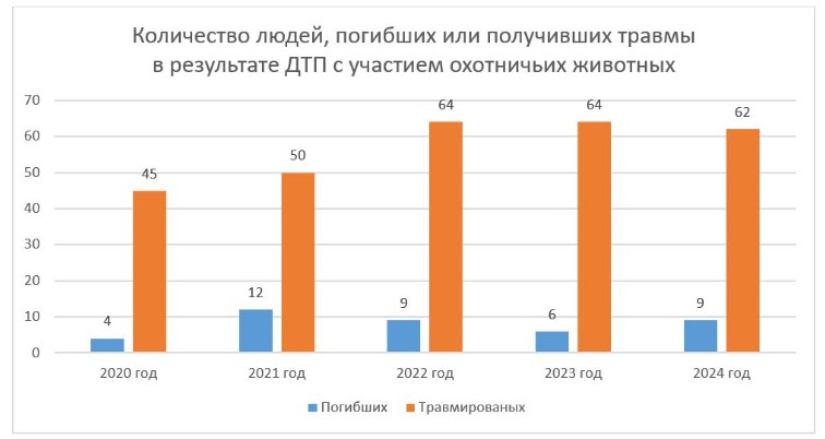 dtp zhiv itog 2024 02