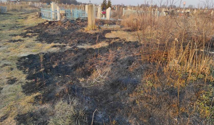 pal travy novogrudok kladb 01