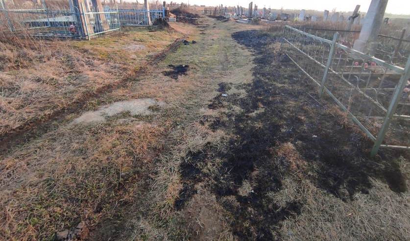 pal travy novogrudok kladb 01