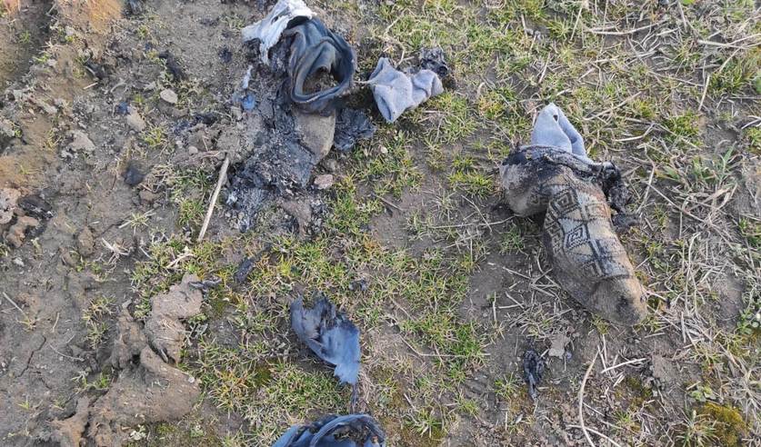 pal travy novogrudok kladb 01