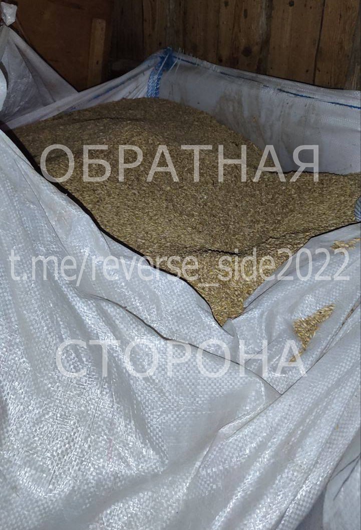 slonim apk toplivo zerno 01