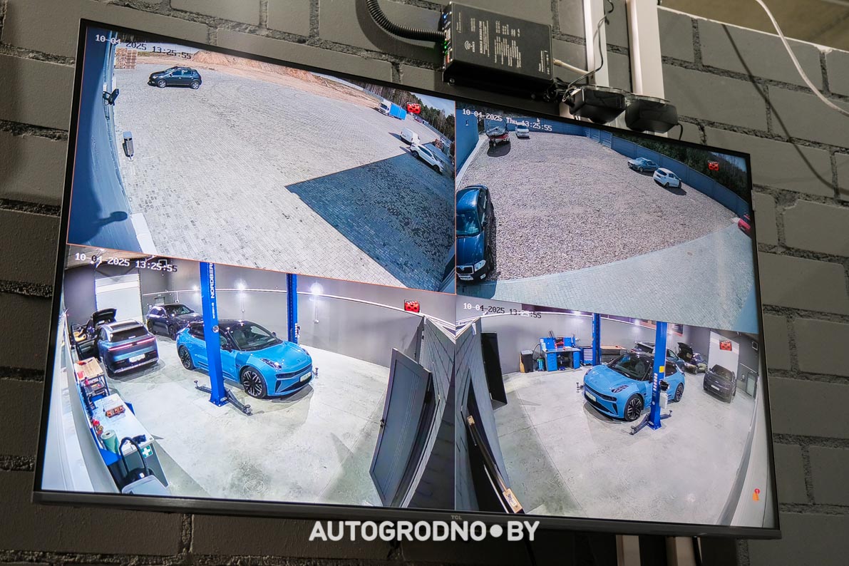 Русификация электромобилей