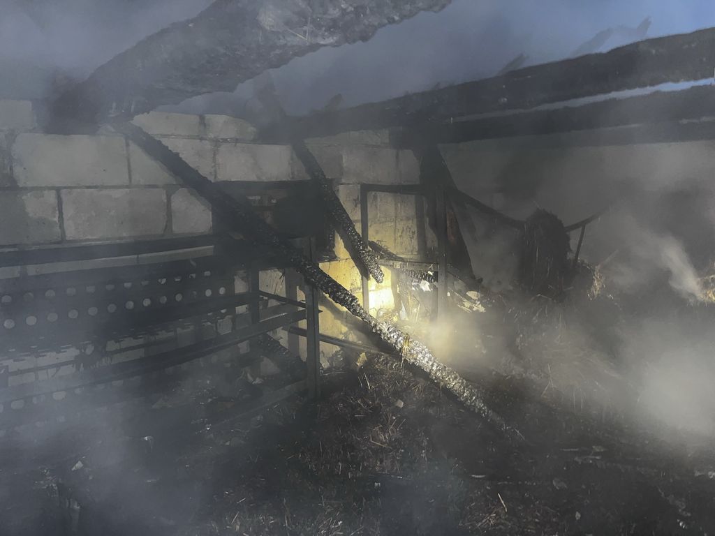 ognennye chp 18 05 01