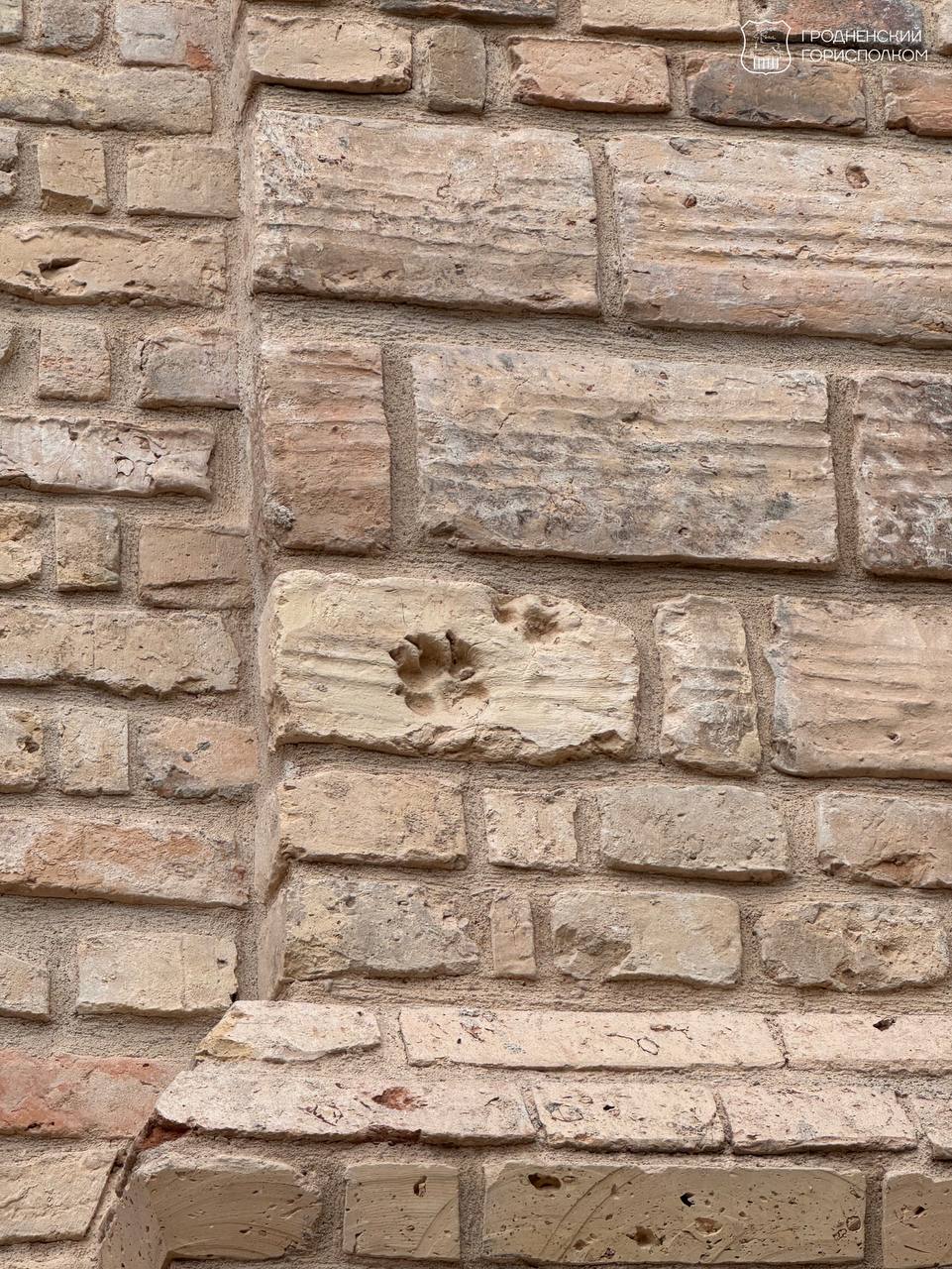 Реконстуркция пивзавода в Гродно