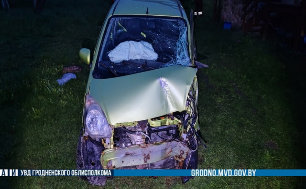 smorgon derevo 04 05 01