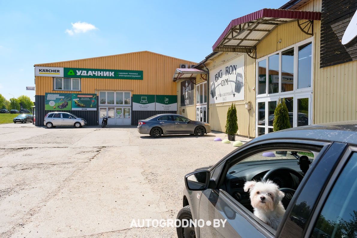 Магазин удачник в Гродно - газонокосилки