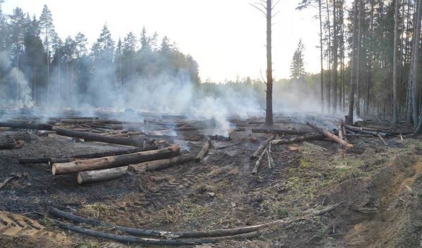 les slonim sigareta 01