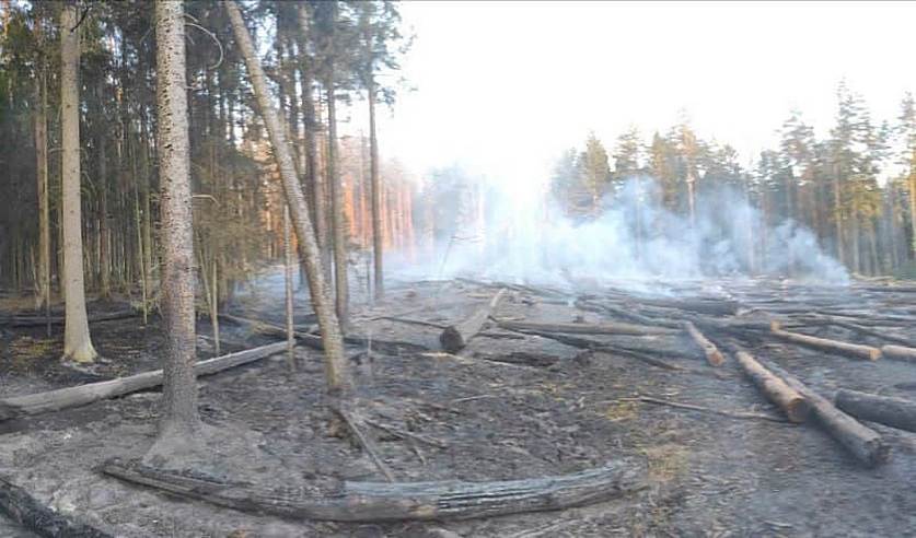 les slonim sigareta 01