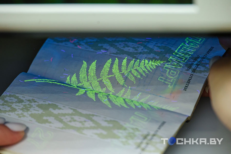 pasport granitsa shtamp 24 06 25 01