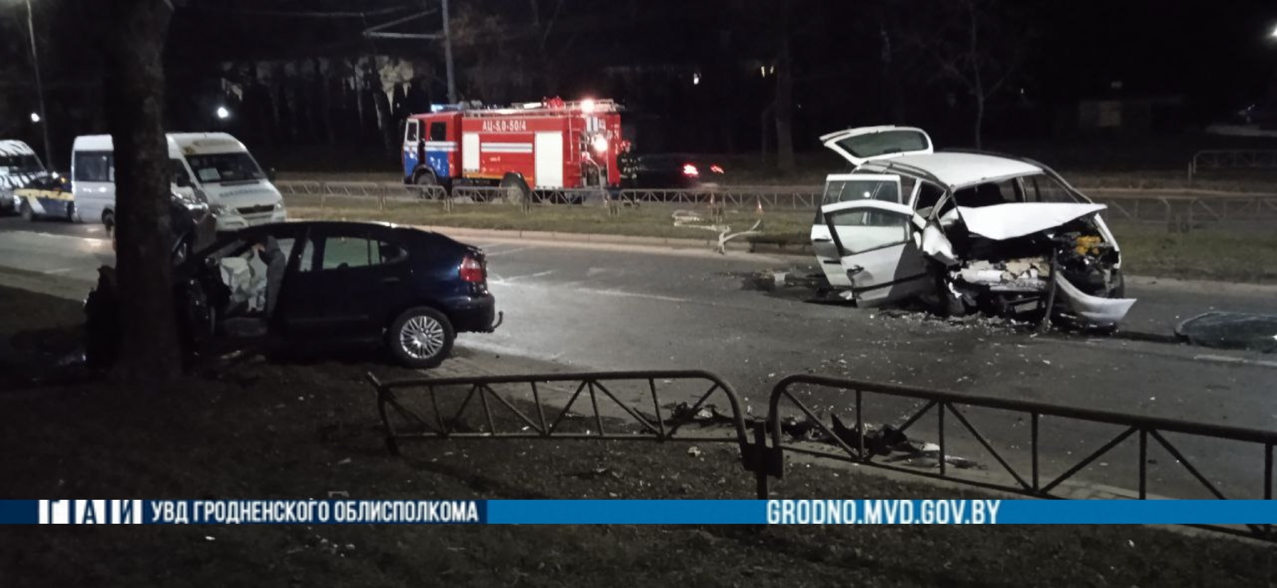 gai lob vesenjaa 01 01 2025 01