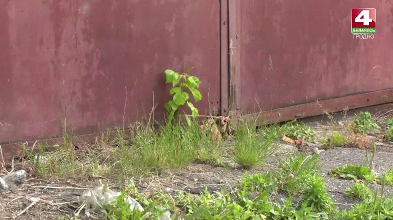 garazhi goskontrol 01