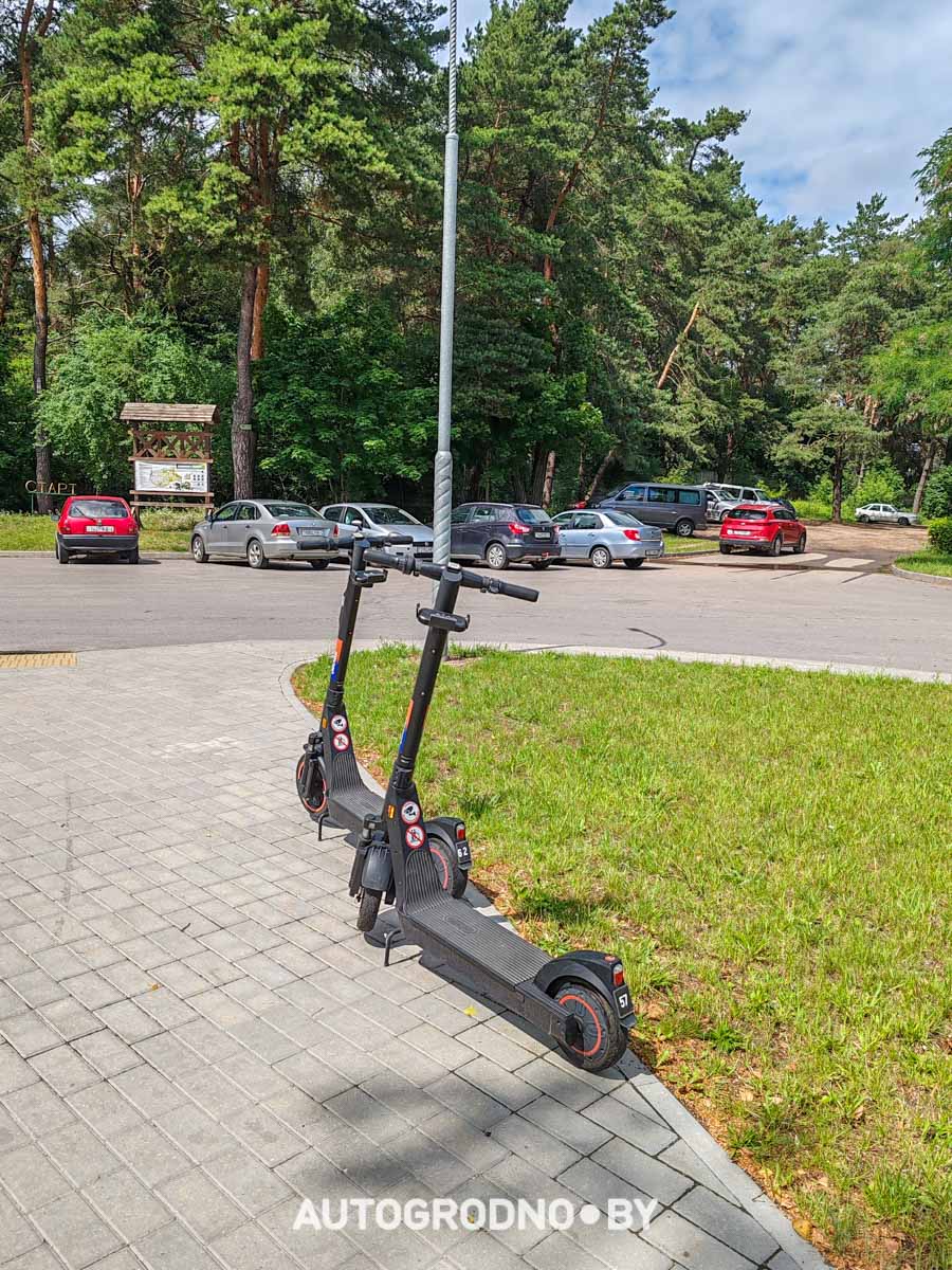 прокат самокатов и велосипедов в Гродно - цены