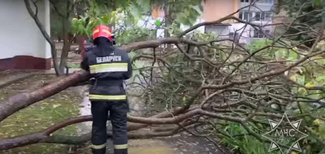 upalo derevo ubrat 01