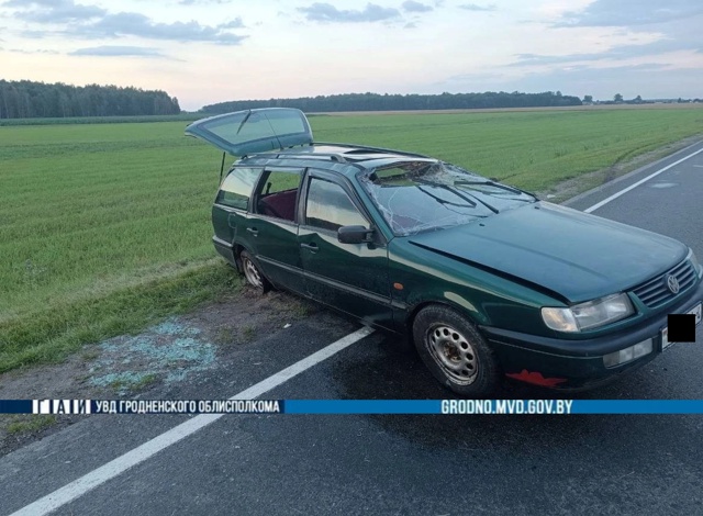 volpa 21 07 25 dtp 01